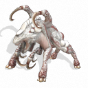 Borahvora por Odonost