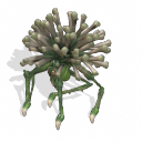 Jumbulious Jonez por OllyMon